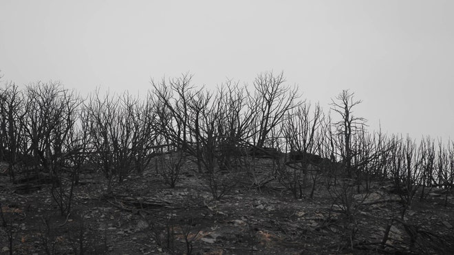 Destruction From Texas Wildfire